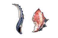 文件:Dual Carapace.png