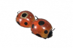 Ladybug Mortar