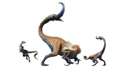 File:Great Izuchi.png